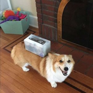 Meet your Posher, Samantha